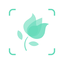 形色植物识别 v3.14.24 app