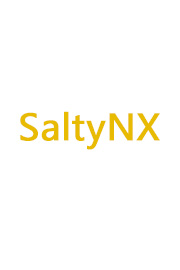 SaltyNX插件下载v0.5.0