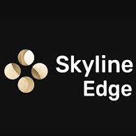 天际线模拟器edge版 v12 汉化版下载(skyline edge)
