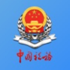 新疆税务 v3.38.0 手机app下载官方版