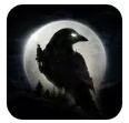 夜鸭 v1.3.11 游戏