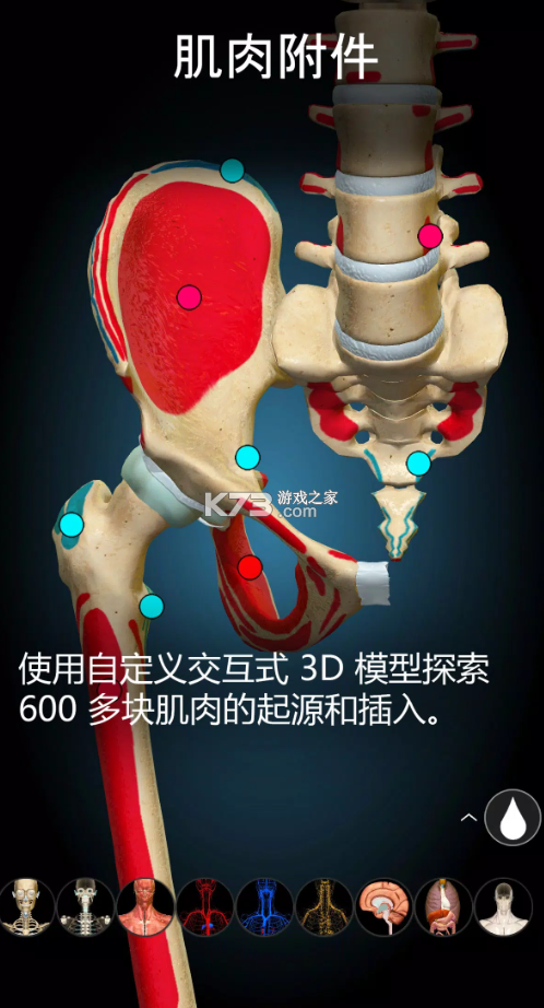 Anatomy Learning v2.1.381 下載 截圖