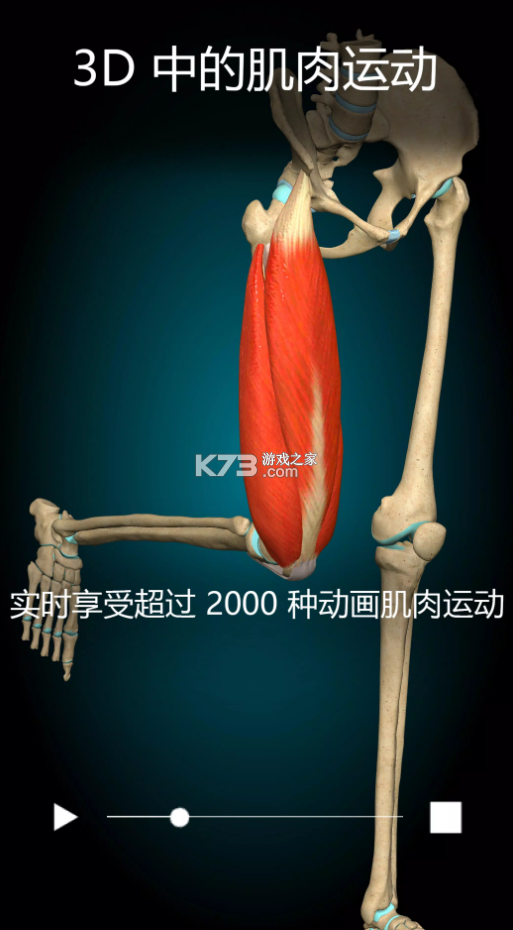 Anatomy Learning v2.1.381 下載 截圖