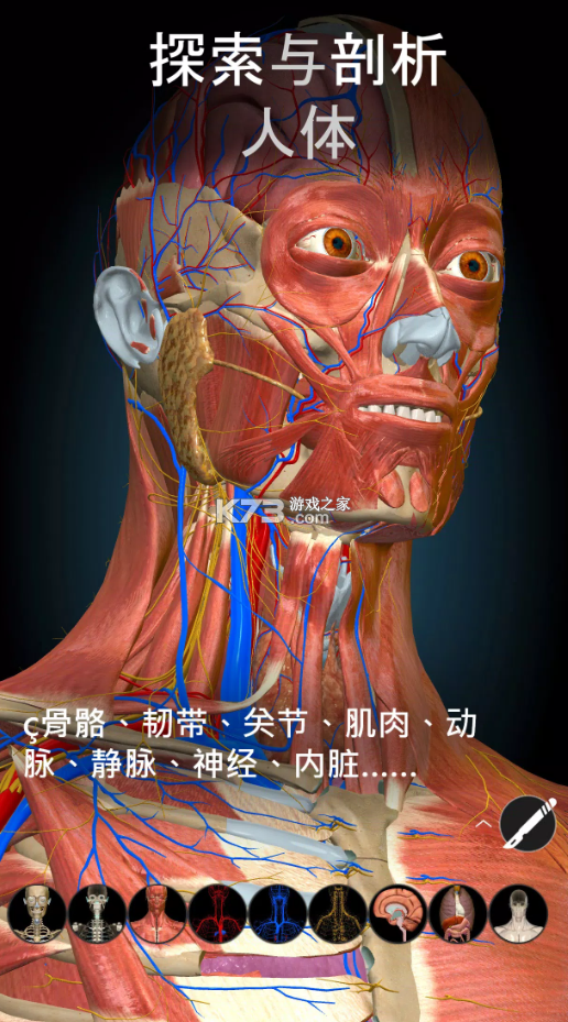 Anatomy Learning v2.1.381 下載 截圖