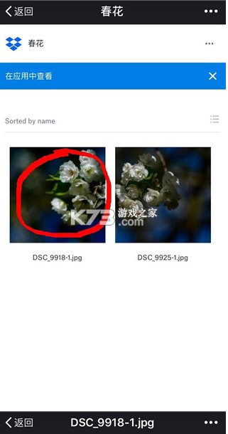 dropbox v384.2.2 安卓版 截圖