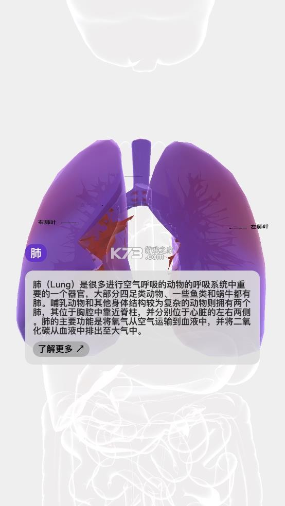 life生命 v1.5.1 软件汉化 截图