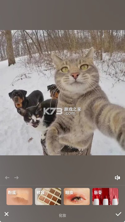 Peachy v1.191.57 app官方版 截图