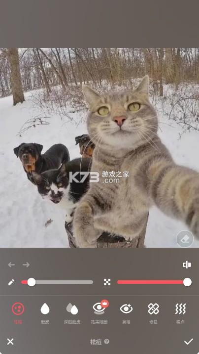 Peachy v1.191.57 app官方版 截图