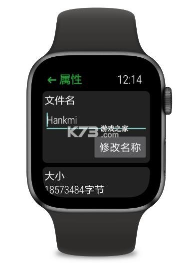 抬腕文件 v22.9.21 手表版apk安装包 截图