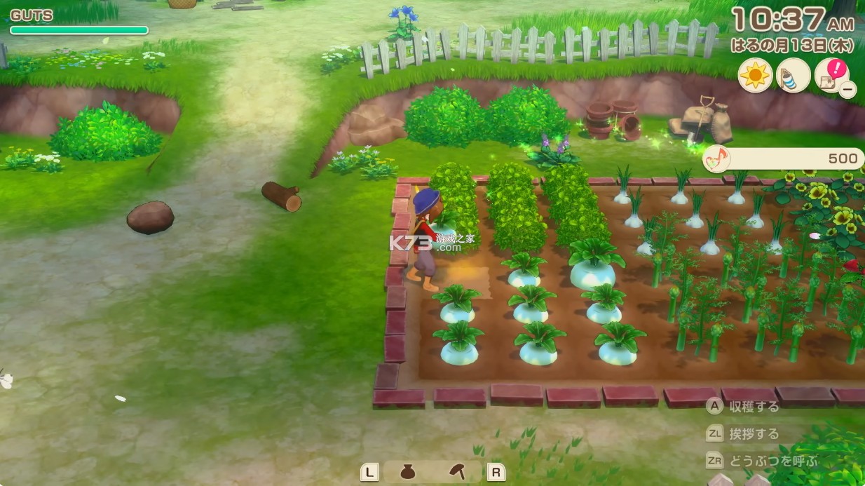 牧场物语来吧风之繁华集市 v1.0.0 switch中文版下载 截图