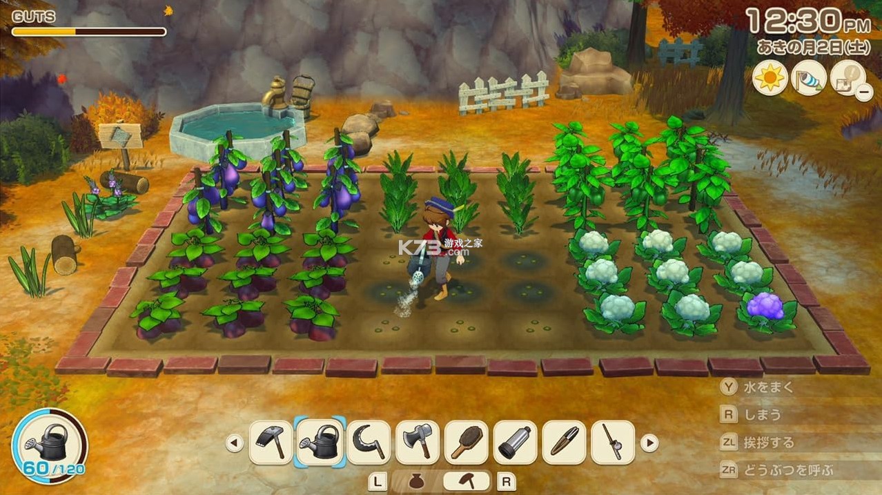 牧场物语来吧风之繁华集市 v1.0.0 switch中文版下载 截图