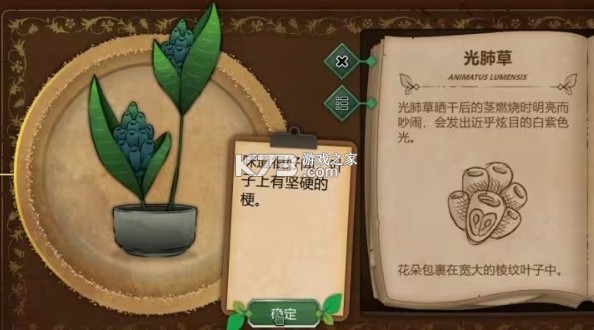 奇异园艺 v1.1.628 下载安卓中文版 截图