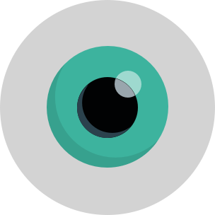 隐私蒙面侠appv1.2