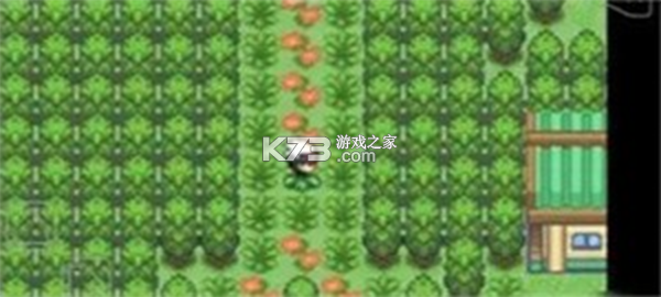 口袋妖怪究极绿宝石4小智版 v2024.03.19.17 下载