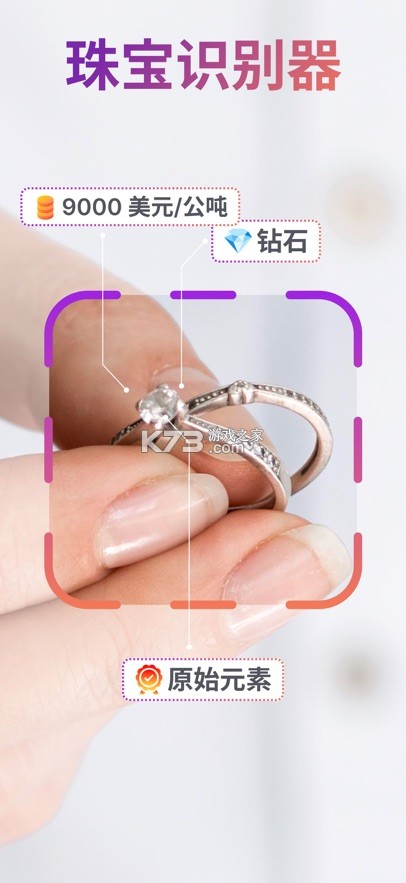 鉴定石头 v3.1 app下载 截图