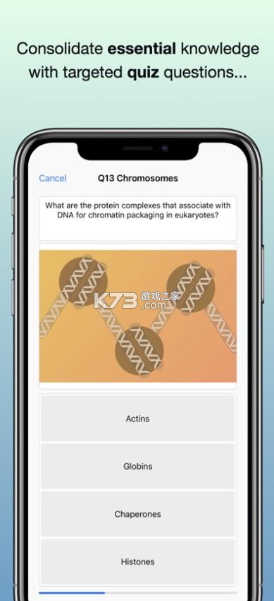 codonone v2.3.5 官方版 截图