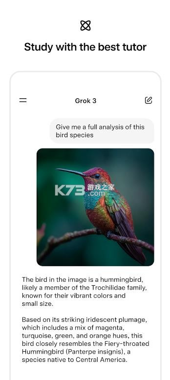 grok4 v1.0.82 官方正版下载 截图