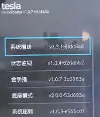 swtich ovl-sysmodules特斯拉动态系统模块选择器 v1.3.1 下载