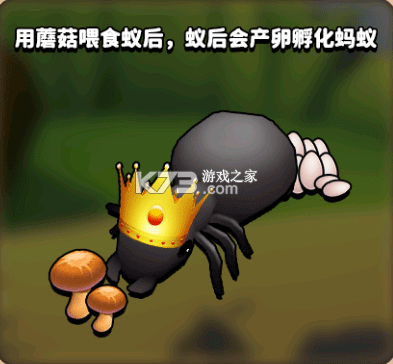 蚂蚁进化3d v2.3 破解版无限金币免广告 蚂蚁进化3d v2.3 破解版无限金币免广告