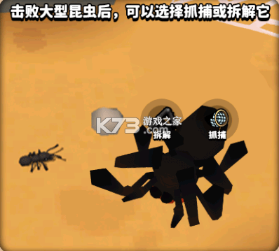 蚂蚁进化3d v2.3 破解版无限金币免广告 蚂蚁进化3d v2.3 破解版无限金币免广告