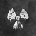 战争团体中文版下载