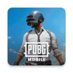 pubg v4.1.0 国际服手游下载官方正版