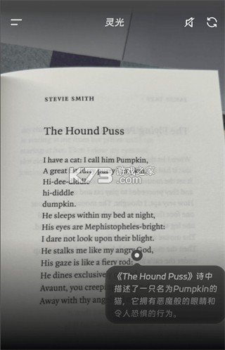 灵光 v1.0.29.8000 app官方版下载 灵光 v1.0.29.8000 app官方版下载