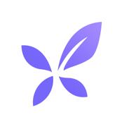 丁香医生 v11.41.0 app下载官方