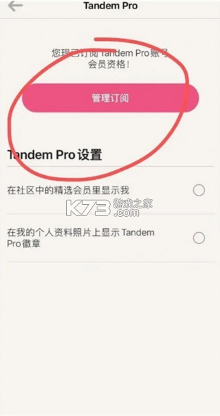 tandem v6.11.0 软件官方版下载 截图