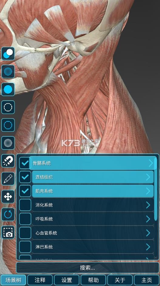 人体解剖学图集 v2025.11.28 app下载 截图