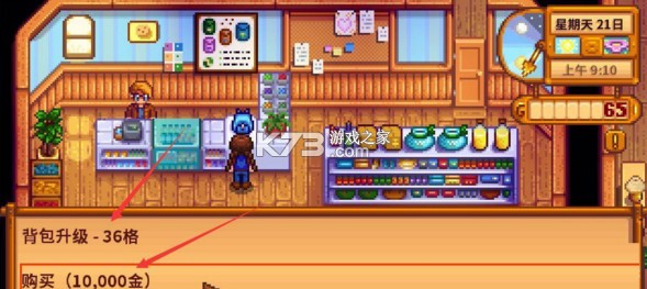 星露谷物语美化版 v1.6.15.0 无限金币