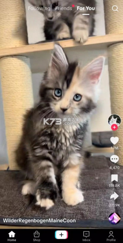 抖音tiktok v43.1.1 安卓版下载 截图