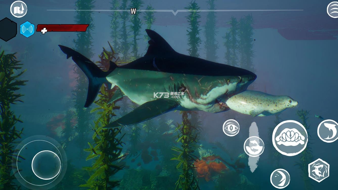 食人鲨 v1.4.1 正版免费手游下载 截图