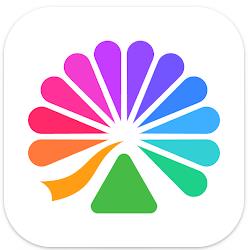 大麦国际版下载v1.0.4