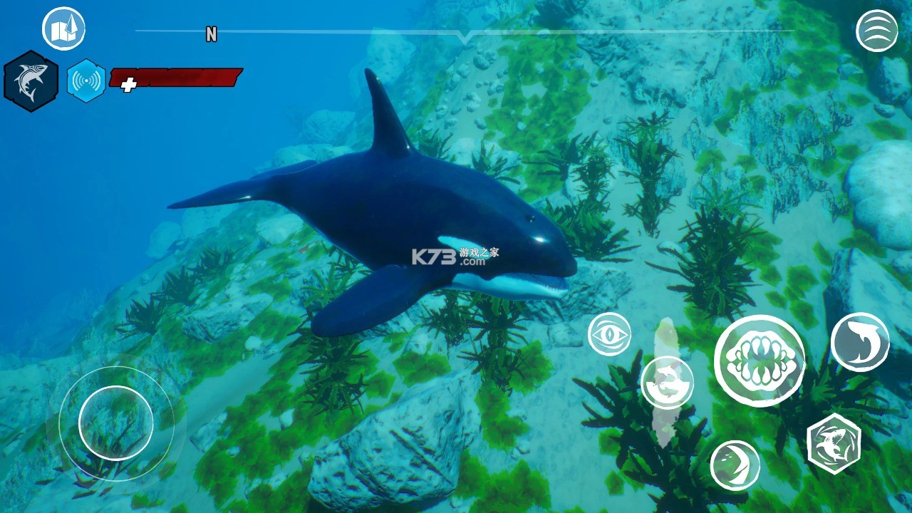 食人鲨 v1.2 手机版下载 截图