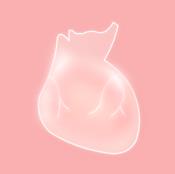 life生命 v1.5.1 软件汉化版