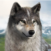 ����������ʷ�v1.0.75