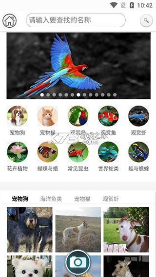 万物识别 v2.1.74.2501120 app下载(万物志) 万物识别 v2.1.74.2501120 app下载(万物志)