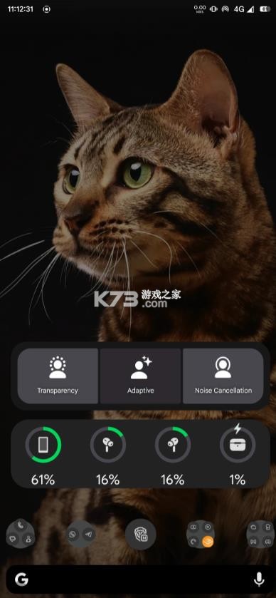 librepods v0.1.0 安卓版 截图