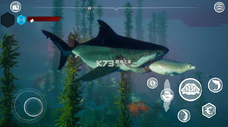 食人鲨 v1.4.4 破解版 截图