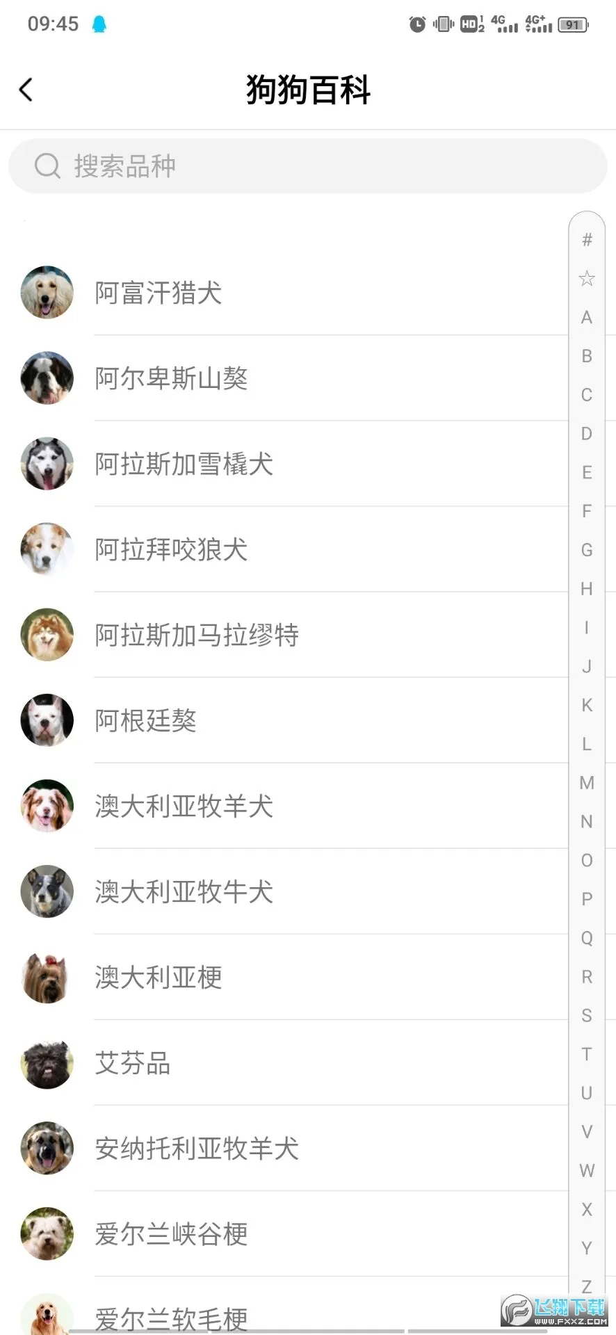 狗语翻译器 v3.1 免费版 截图