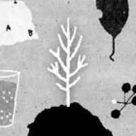 她的树迷梦安卓下载