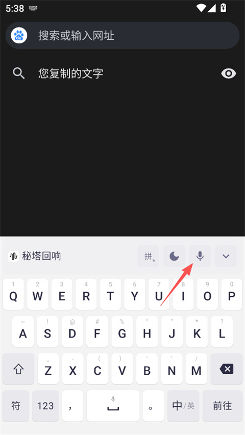 秘塔回响 v1.0.2 app下载