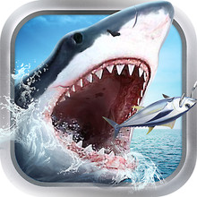 钓鱼大神无限金币钻石版