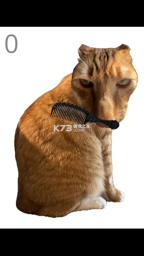 给猫梳毛 v1.0 游戏