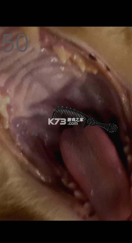 给猫梳毛 v1.0 游戏