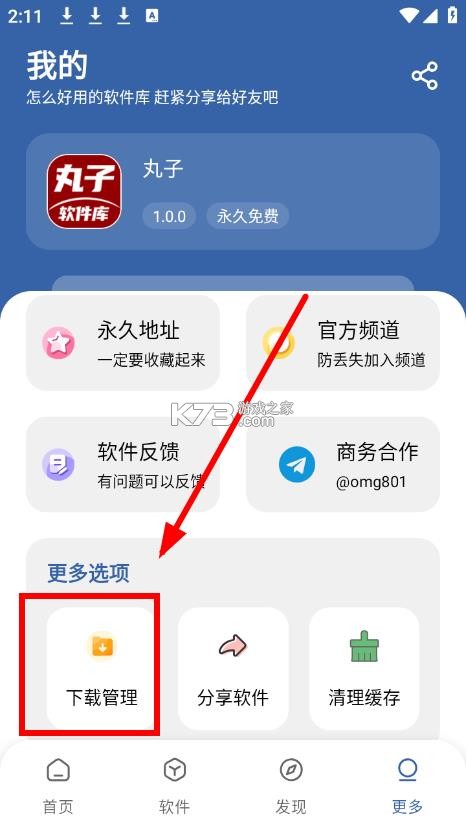 丸子软件库 v1.1 app下载安装