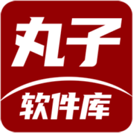 丸子软件库 v1.1 app下载安装