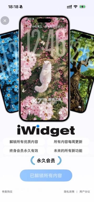iwidget v1.0.6 小组件下载