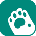 妙妙触控appv2.6